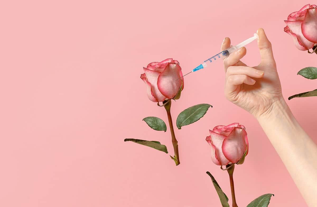 model holding needle by rose